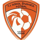 https://img.tsjiu.com/img/football/team/5477d301041e00b2de35d5eeea2fabb4.png