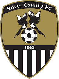 https://img.tsjiu.com/img/football/team/9e230c89a846b9cadf91884918fa7611.png