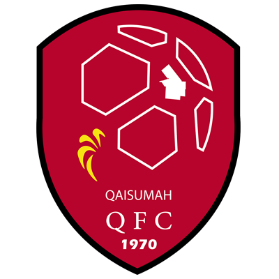 https://img.tsjiu.com/img/football/team/b155714d7a8b3230696693bba8181b6d.png